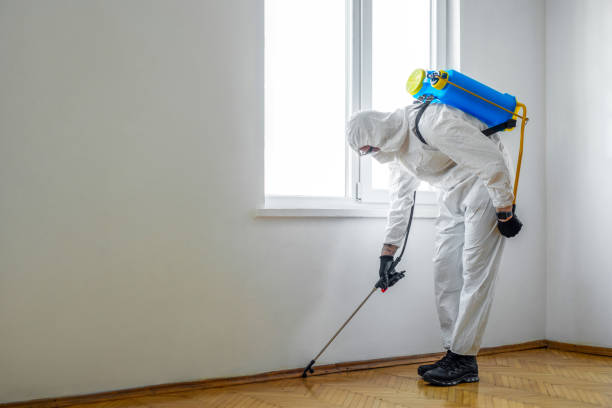 Best Pest Prevention Services  in Manning, SC