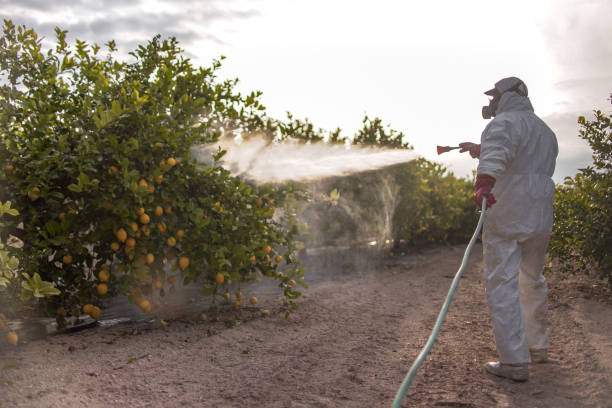 Pest Prevention Services in Manning, SC
