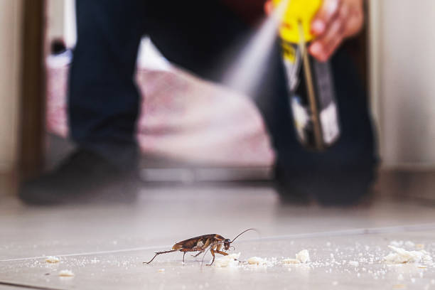 Best Pest Control Near Me in Manning, SC